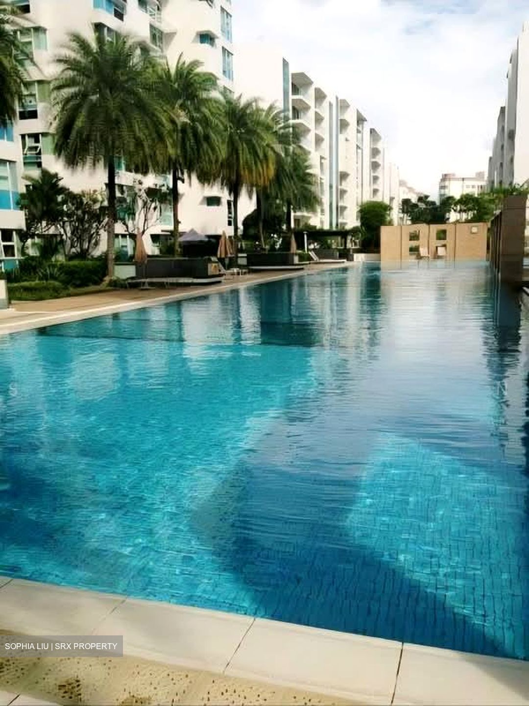 Dahlia Park Condominium (D17), Condominium #606439431